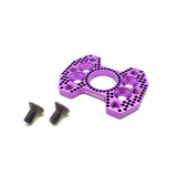 Acuvance MerV-ERA Multi-Angle 540-380 Conversion Plate - Purple